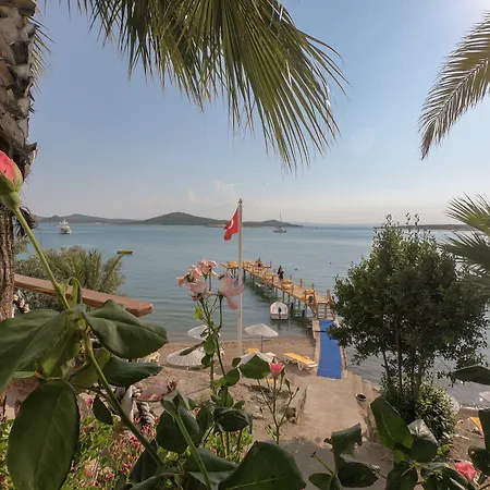 Cunda Panorama Ayvalı