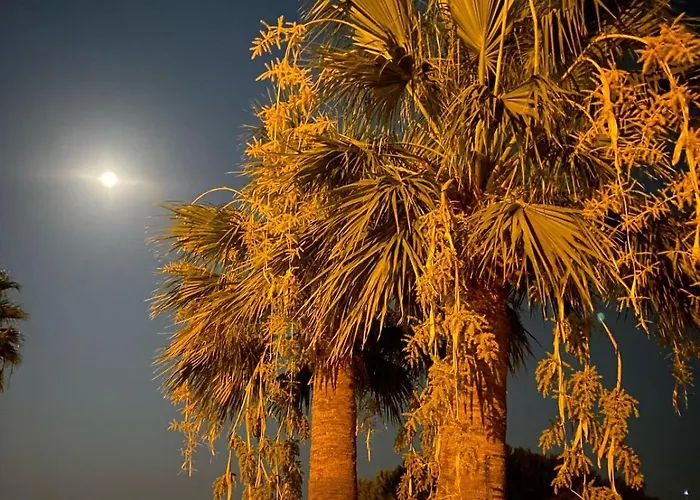 Hotel Cunda Panorama